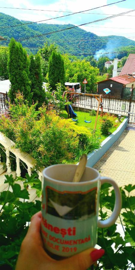 Отель Casa Giulia Бэи­ле-Олэ­неш­ти Экстерьер фото